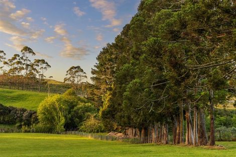 Photo of property in 713 Ararimu Valley Road, Helensville, 0882