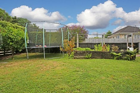 Photo of property in 38 Gibson Road, Tuakau, 2121