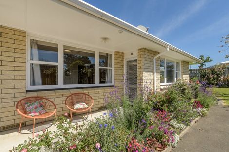 Photo of property in 48 Seventeenth Avenue, Tauranga South, Tauranga, 3112