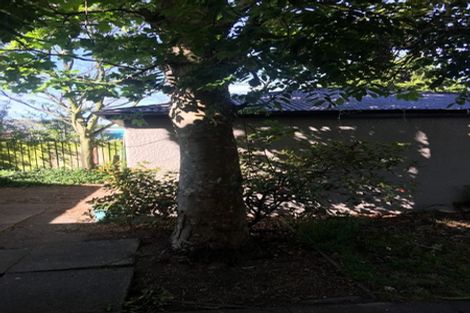 Photo of property in 24 Rogers Street, Sydenham, Christchurch, 8023