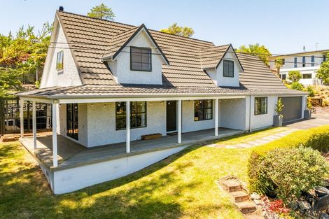 Photo of property in 19a Tainui Drive, Havelock North, 4130
