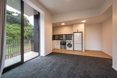 Photo of property in 103/82u Rugby Street, Mount Cook, Wellington, 6021