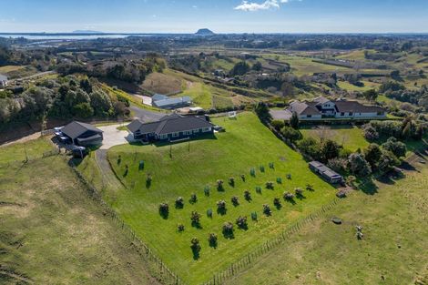 Photo of property in 79d Crawford Road, Minden, Tauranga, 3171