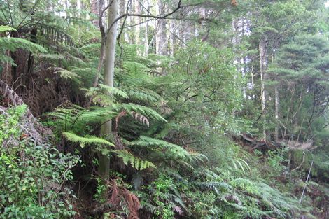 Photo of property in 14 Manuka Road, Titirangi, Auckland, 0604