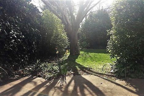 Photo of property in 1/44 Puriri Street, Riccarton, Christchurch, 8041