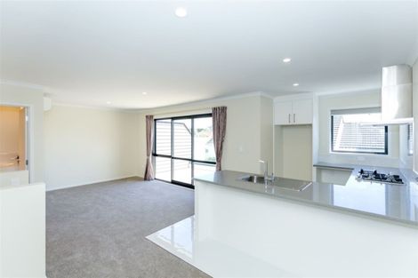 Photo of property in 287u7 Ulster Street, Whitiora, Hamilton, 3200