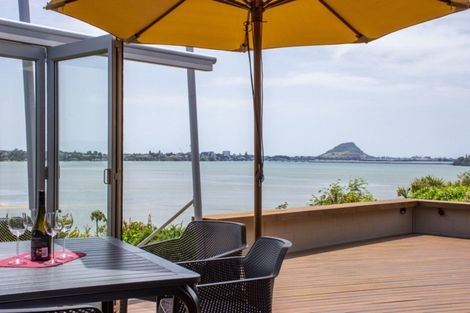 Photo of property in 310 Maungatapu Road, Maungatapu, Tauranga, 3112