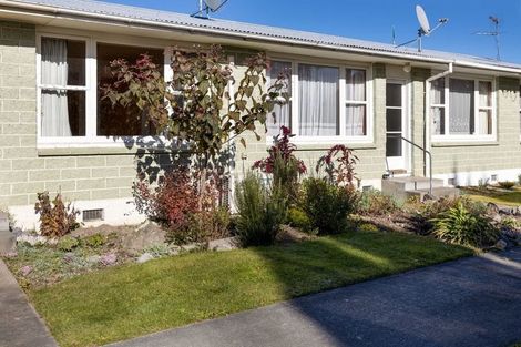 Photo of property in 1-2 Ward Street, Springlands, Blenheim, 7201