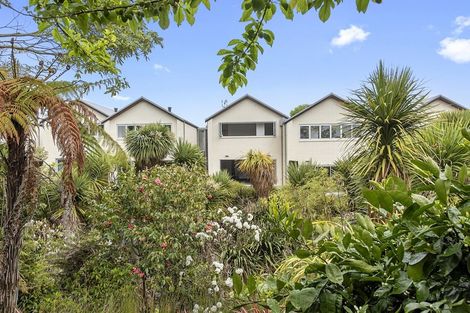 Photo of property in 58u4 Herbert Road, Queenwood, Hamilton, 3210