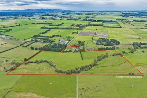 Photo of property in 1406 Cust Road, Cust, Rangiora, 7471