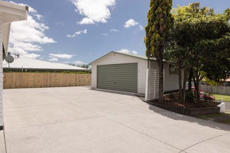 Photo of property in 66 Campbell Road, Mount Maunganui, 3116