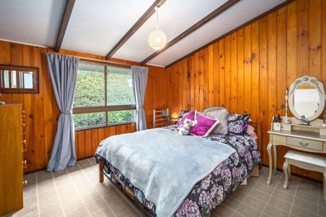 Photo of property in 178a Chapel Street, Masterton, 5810