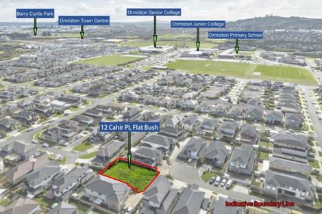 Photo of property in 12 Cahir Place, Flat Bush, Auckland, 2019