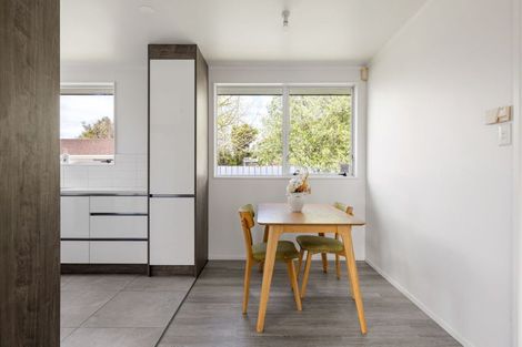 Photo of property in 94b Clarkin Road, Fairfield, Hamilton, 3214