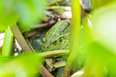 Photo of property in 266 Murphys Road, Judgeford, Porirua, 5381