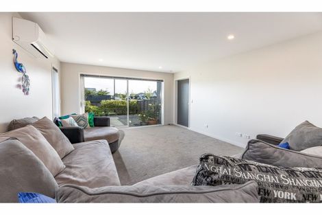 Photo of property in 19 Heney Street, Kaiapoi, 7630