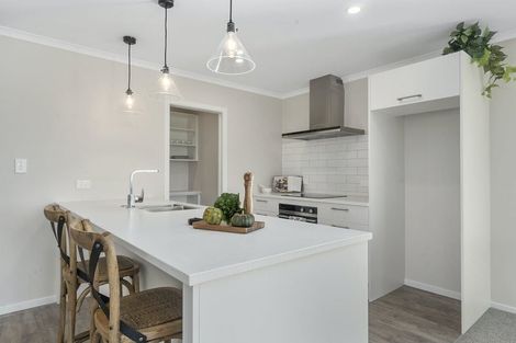 Photo of property in 80 Hinemoa Street, Levin, 5510