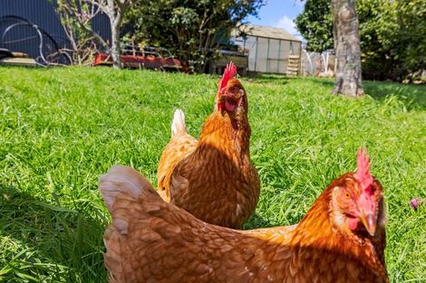 Photo of property in 120 Walford Road, Aongatete, Katikati, 3181