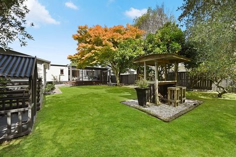 Photo of property in 80 Rimu Street, Maeroa, Hamilton, 3200