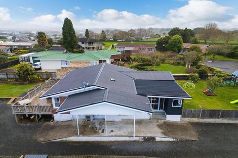 Photo of property in 157 Mcnair Road, Te Awamutu, 3800