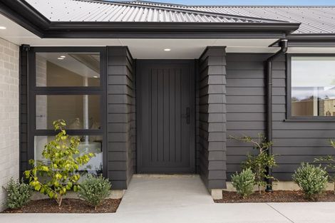 Photo of property in 50 Vogel Street, Roslyn, Palmerston North, 4414