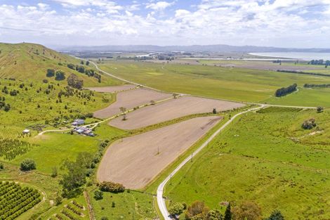 Photo of property in 1266 Wharerata Road, Muriwai, Manutuke, 4072