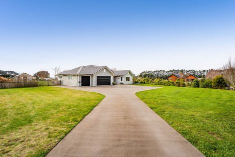 Photo of property in 1199 Egmont Road, Egmont Village, New Plymouth, 4372