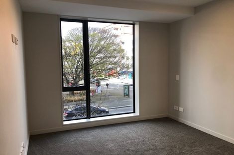 Photo of property in Vsp South, 105/168u Victoria Street, Te Aro, Wellington, 6011