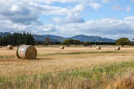 Photo of property in 1/282 Wilsons Road, Waltham, Christchurch, 8023