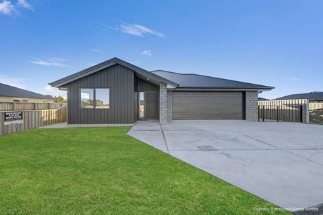 Photo of property in 52 Benn Street, Amberley, 7410