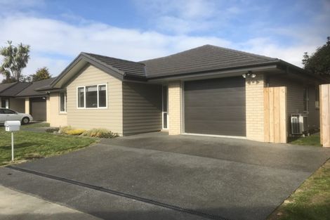 Photo of property in 4 Hawkins Lane, Cambridge, 3434