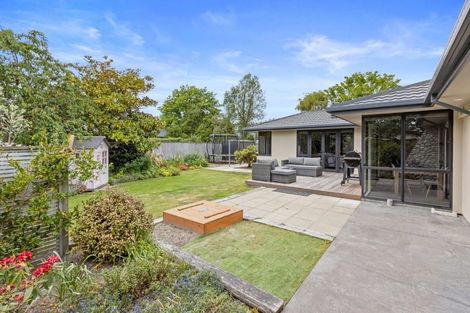 Photo of property in 41 Birchs Road, Prebbleton, 7604