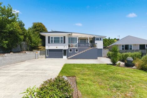 Photo of property in 29 Kawiu Road, Levin, 5510