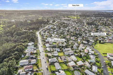 Photo of property in 217 Glengarry Road, Glen Eden, Auckland, 0602