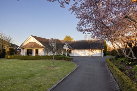 Photo of property in 8r Georgia Grove, Pyes Pa, Tauranga, 3112