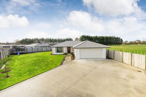 Photo of property in 34 Oldfield Lane, Marton, 4710