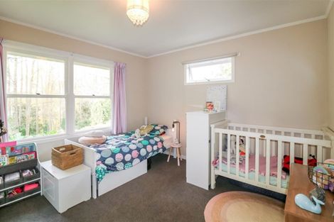 Photo of property in 119 Fitzroy Avenue, Fitzroy, Hamilton, 3206