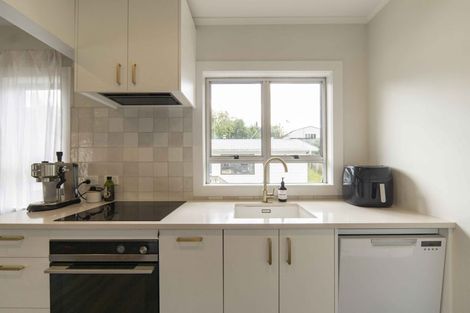 Photo of property in 18 Hinau Street, Maeroa, Hamilton, 3200