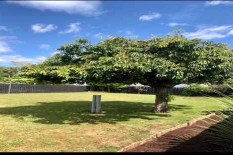 Photo of property in 7 Duke Street, Levin, 5510