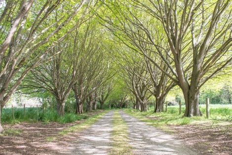 Photo of property in 230 Lees Road, Kaiapoi, 7691