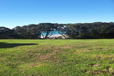 Photo of property in 59 Pohutukawa Drive, Waiotahe, Opotiki, 3198
