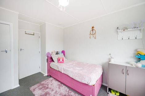 Photo of property in 14 Humber Street, Roslyn, Palmerston North, 4414