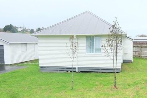 Photo of property in 109 Rayner Road, Huntly, 3700