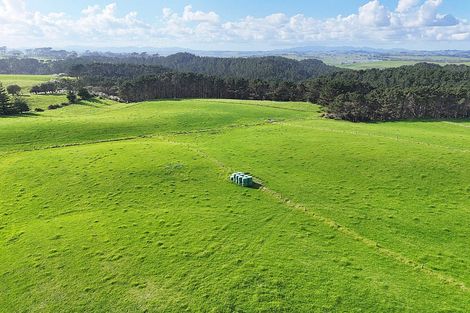 Photo of property in 1000 Redhill Road, Te Kopuru, Dargaville, 0371