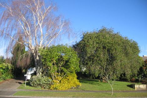 Photo of property in 12 Freemont Street, Chartwell, Hamilton, 3210