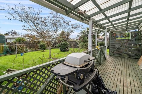 Photo of property in 17 Grey Street, Putaruru, 3411