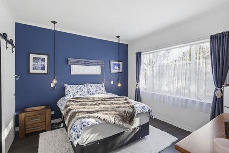 Photo of property in 38 Princes Street, Levin, 5510