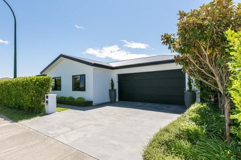 Photo of property in 115 Squire Drive, Awatoto, Napier, 4110