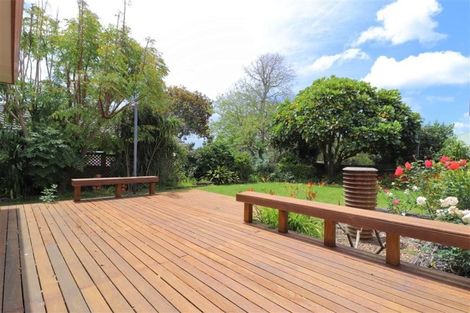 Photo of property in 11 Jacaranda Court, Pukekohe, 2120