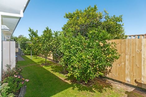 Photo of property in 170b Ormond Road, Mangapapa, Gisborne, 4010